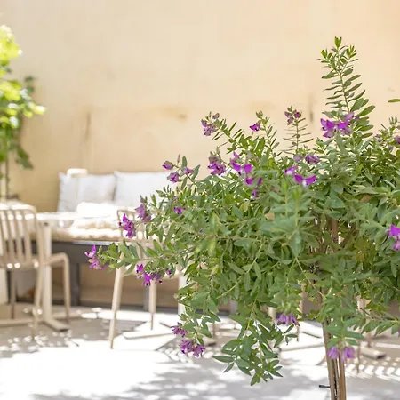 L'ecrin Des Corbieres فندق مبيت وإفطار Treilles